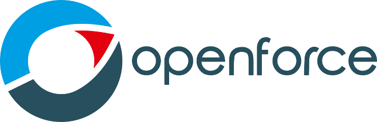 Odoo ERP | Openforce - Partner Odoo in Italia